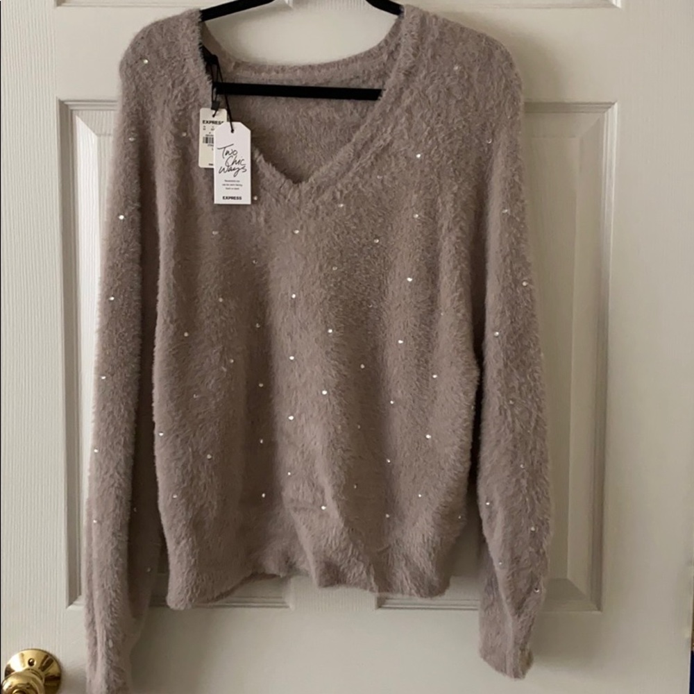 NWT Express Embellished Reversible Sweater
